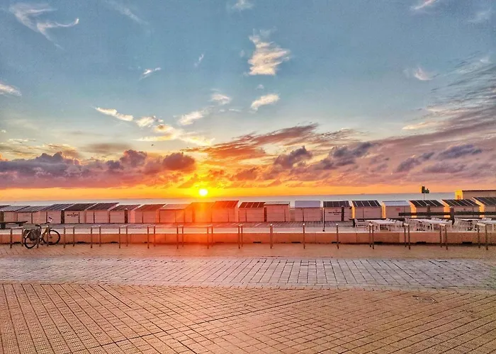 Seaview Eclectic אוסטנדה