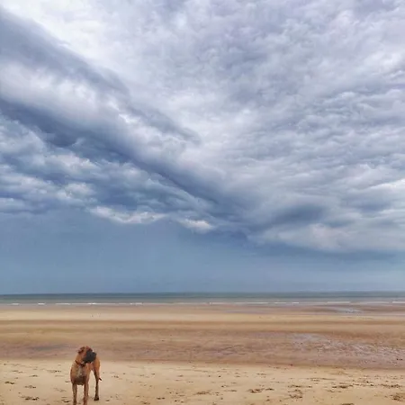 Seaview Eclectic Lägenhet